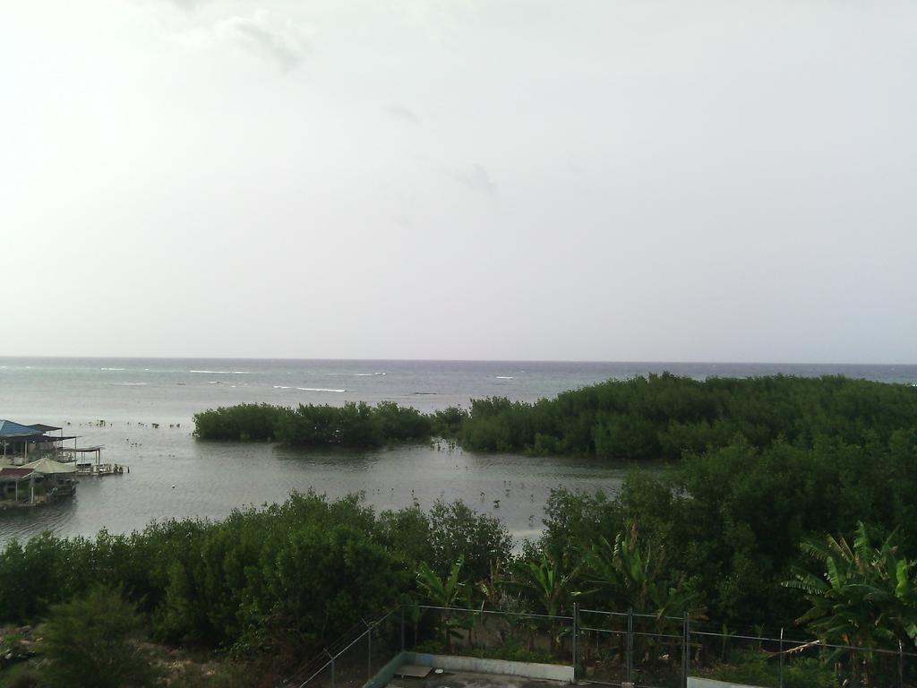 Hotel Tropik Leadonna Montego Bay Esterno foto